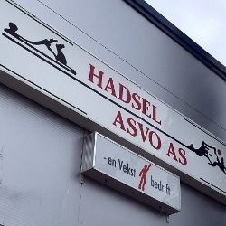 Hadsel Asvo